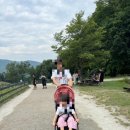 큰방림길 | 평창 가족여행 하루코스 – 대관령 양떼목장, 방림 메밀 막국수, 발왕산 케이블카, 경기휴게소 맛집
