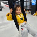 경희대 수 태권도장 이미지