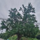 경기둘레길 양평31코스 이미지