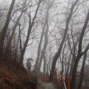 우면산3-23 이미지