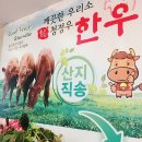 금대양 이미지