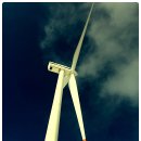 우산목장 이미지