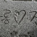 다민동물병원 이미지