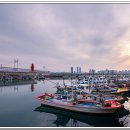 대광안전상사 이미지