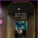 부산원탁가라오케 이미지
