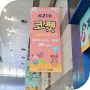 아이펫온-수입 | 코리아펫쇼 펫박람회 구경하실래요? : D