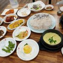 구룡포산오징어회식당