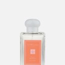 플럼블라썸(Plum Blossom) 이미지