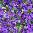 우리.다 이미지