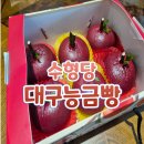 사다 | 대구능금빵 KTX 역에서 사다 먹은 후기
