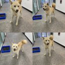 선산대로-37 티스토리