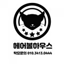 똥싼바지입은고양이