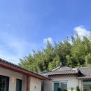 헤난스테이 이미지