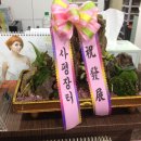 서현순헤어
