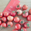 춘아농장 이미지