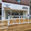 주주펫 살롱 이미지