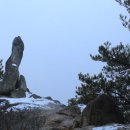 고잔고사거리 이미지