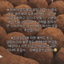 나지금순천