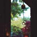 은행나무한의원 이미지