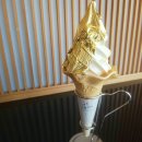 신성금박