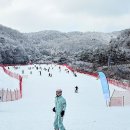 의상디자인 주말/중급 | 곤지암 렌탈샵 리프트권 패키지 곤지암 리조트 스키장 후기