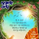 11월9일 가을 햇빛의 놀라운 효능 7가지 ★지리산 단풍 이미지