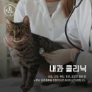 잠실베스트동물메디컬센터 | 송파동물병원 24시잠실베스트동물메디컬센터 24시간 진료 연중무휴
