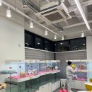 댕댕프렌즈 | 부천 강아지 분양, 사랑스럽고 건강한 소형견을 찾는 댕댕프렌즈