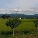 덕골로 Daum카페