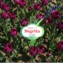 교동주공아파트 이미지