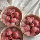 구미 어버이날 스승의 날 카네이션 바람떡 떡케이크 맛집 선물 예약 주문 후기