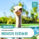 보고, 느끼고, 즐기는 체험 나들이, 헤이리치 타조농장