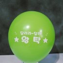 잎새달오하베르데