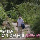 호호밥상 네이버블로그