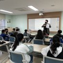 디딤돌 이미지