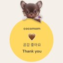 롤링핀 화도점 이미지