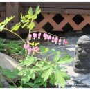 펜션빛뜨란 이미지