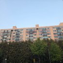 삼환아파트노인정 | 개롱 거여 임장 후기