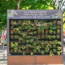 서구치매안심센터(1) 이미지