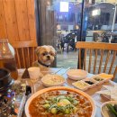 광안리술집 : 애견동반 매운불스지 볶음밥까지 &#39;스지고집 광안&#39;