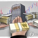 “이소영 의원안처럼 배당소득 분리과세율 낮춰도···세수 확충 가능” 이미지