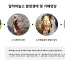 오케이120