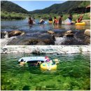 별고을 오토캠핑장 이미지