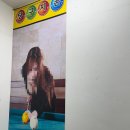 지존 당구장 이미지