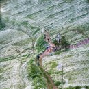 음성꽃동네심신장애인요양시설 | 충청북도 장애인 거주시설 현황