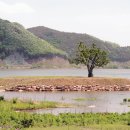 성수월마을 이미지