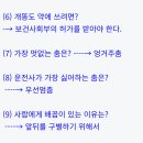넌센스 Daum카페