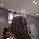 주연컨설팅 이미지