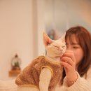 [수원] 영통 고양이카페 &#39;아가마미&#39; 방문기