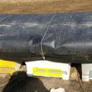 아빠 벌꿀 농장 이미지